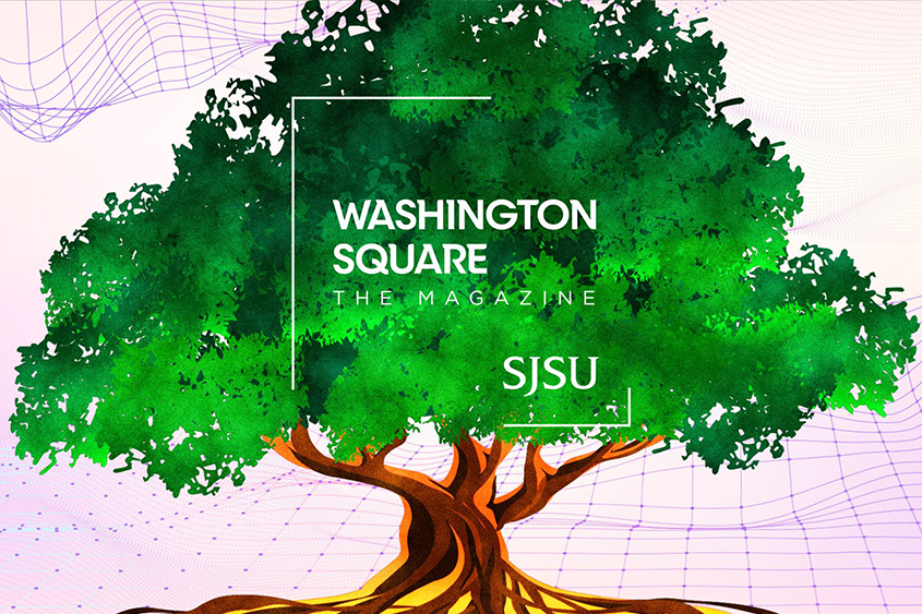 Cover of the Spring 2025 Issue of Washington Square: The Magazine, Tree Illustration by Brian Anderson.