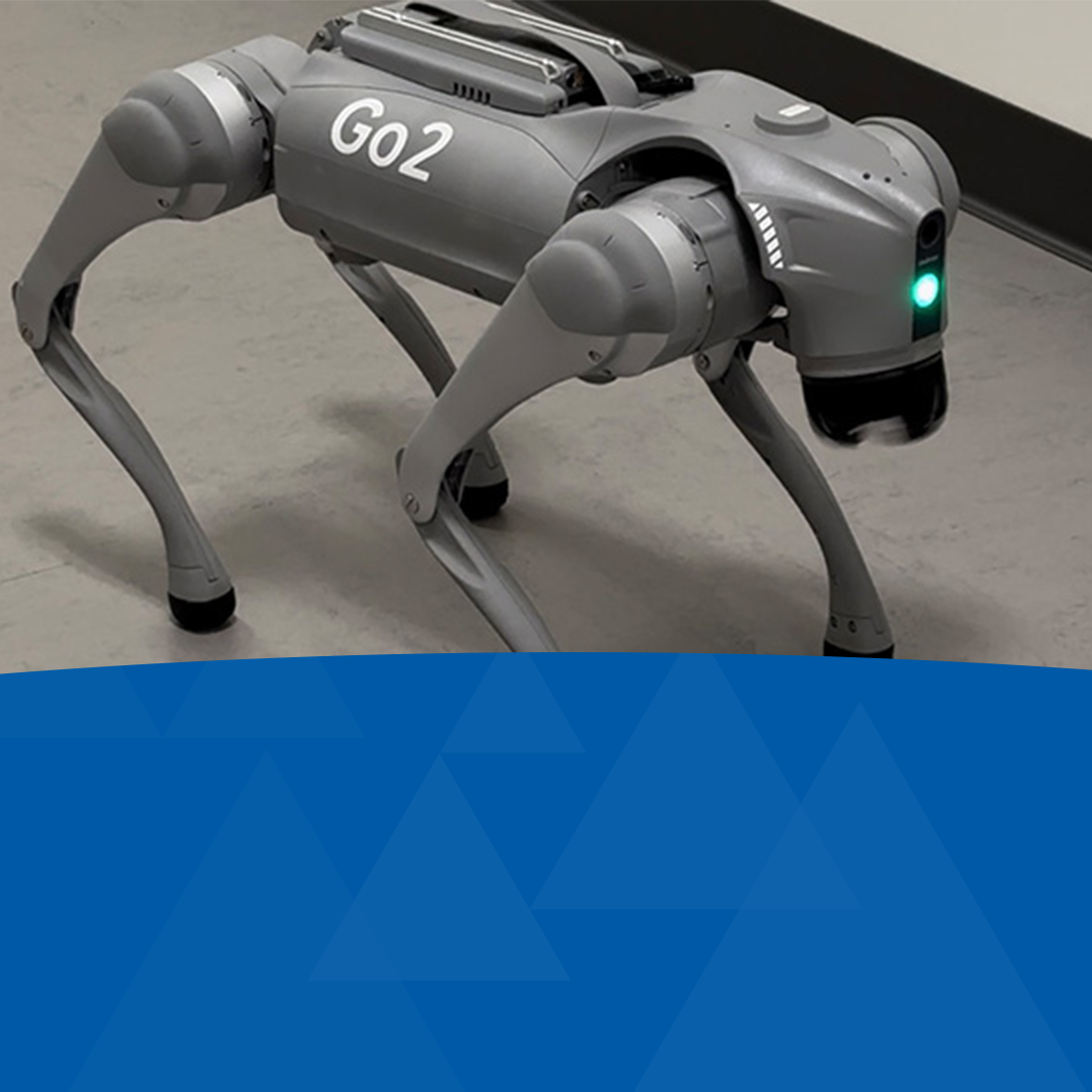 Applied Data Science Department's Go2 Robot Dog