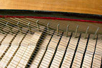 Photograph of clavichord tangents