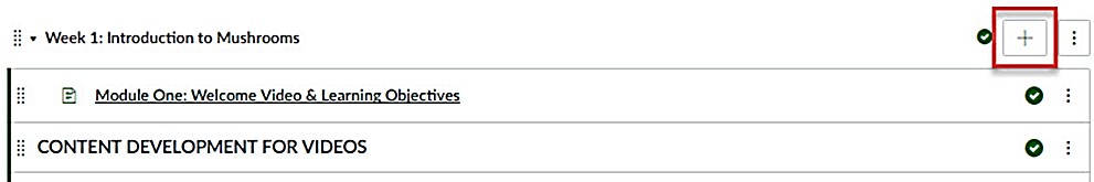 Canvas module with the add-item icon