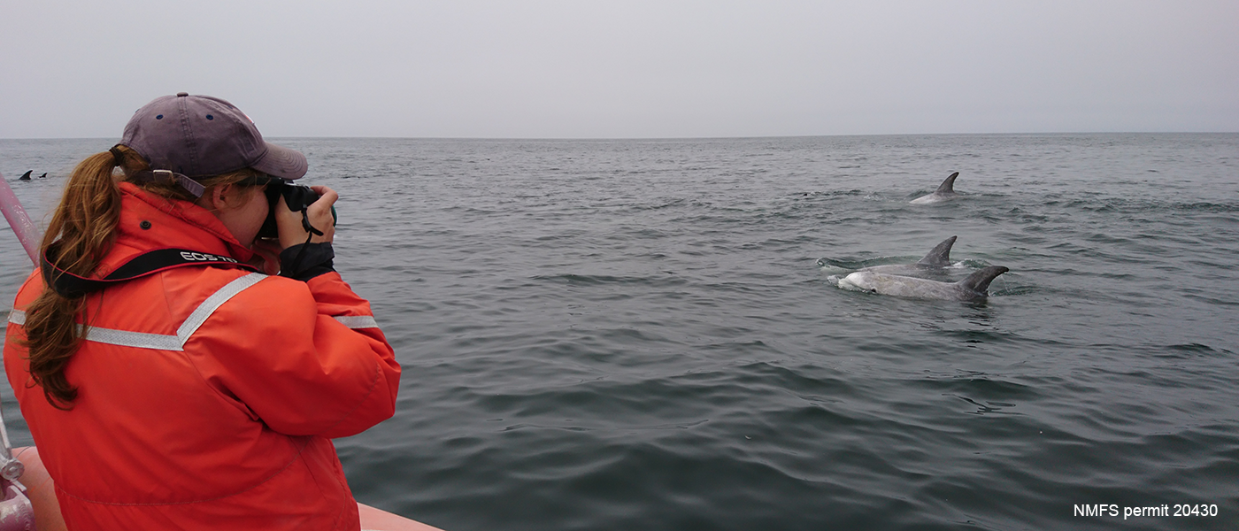 A student on a boat points her camera at some whales.