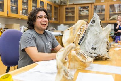 A student sits at a table beside animal skulls