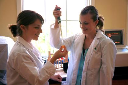 Two nutrition students work in a lab