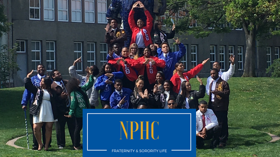 Group of students with NPHC banner