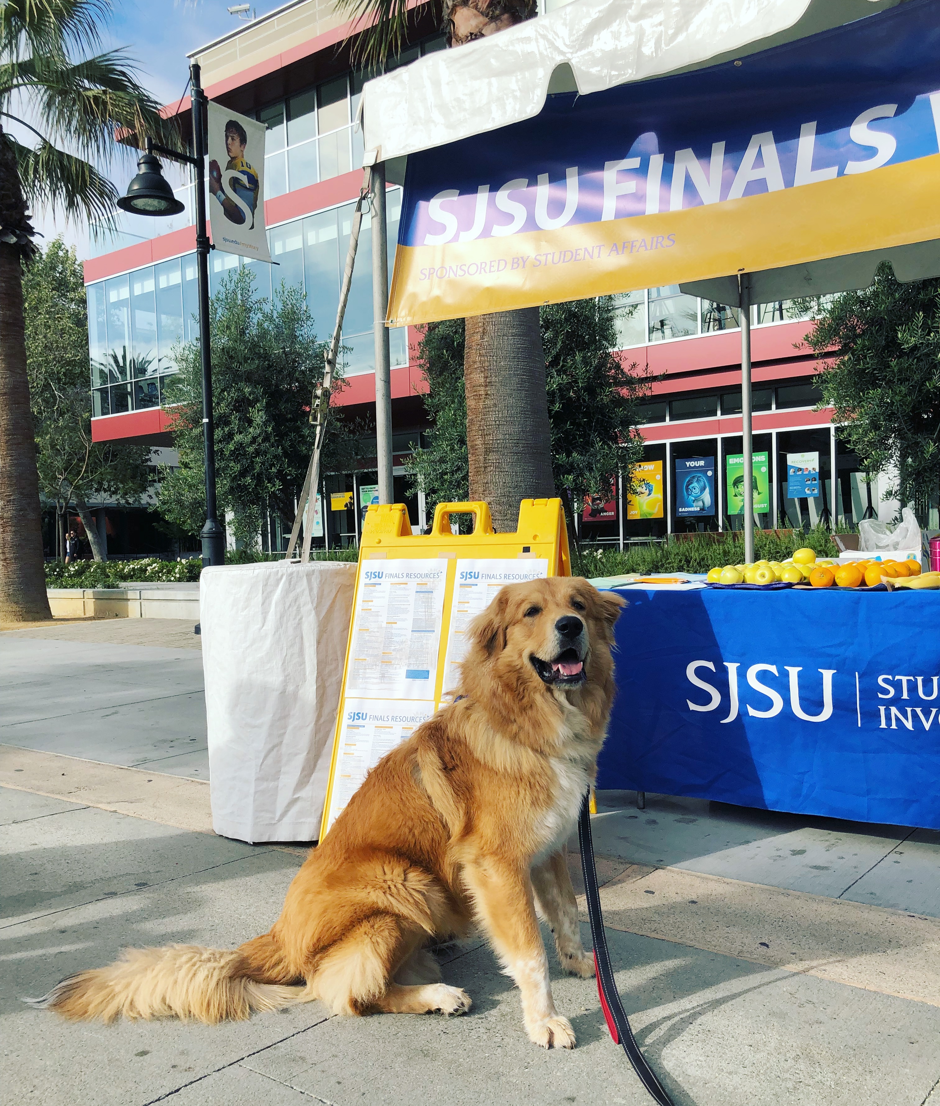 Adorable dog sits infront of booth. Banner over booth reads "Finals Table"