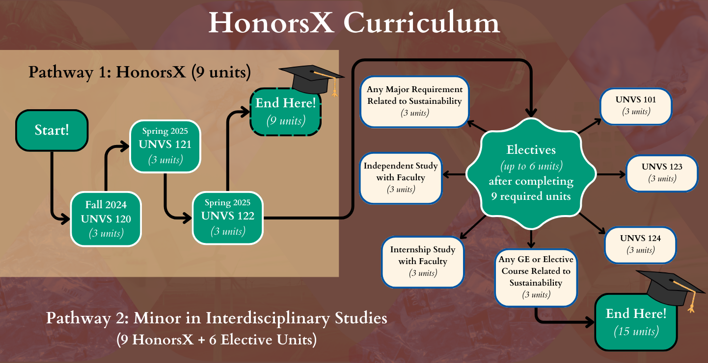 Roadmap of the HonorsX Curriculum from start to finish