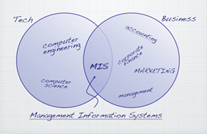 Venn diagram showing that MIS is where tech and business overlaps.