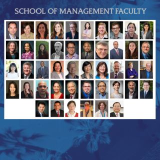 Faculty in the School of Management