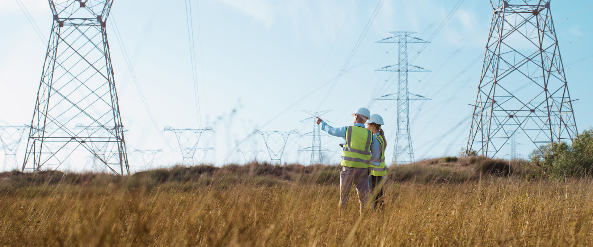 Engineers observing power grids