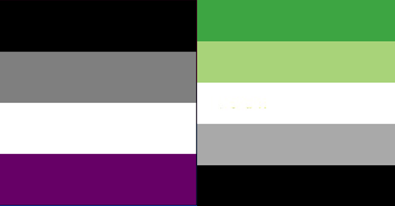 Asexual and aromantic flags