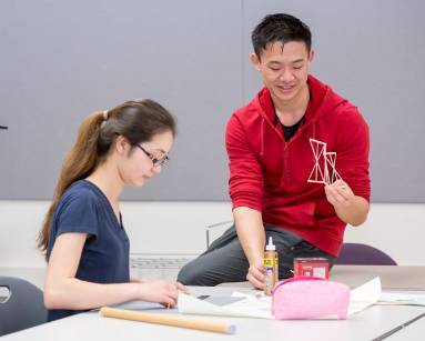 Two students working on a project.