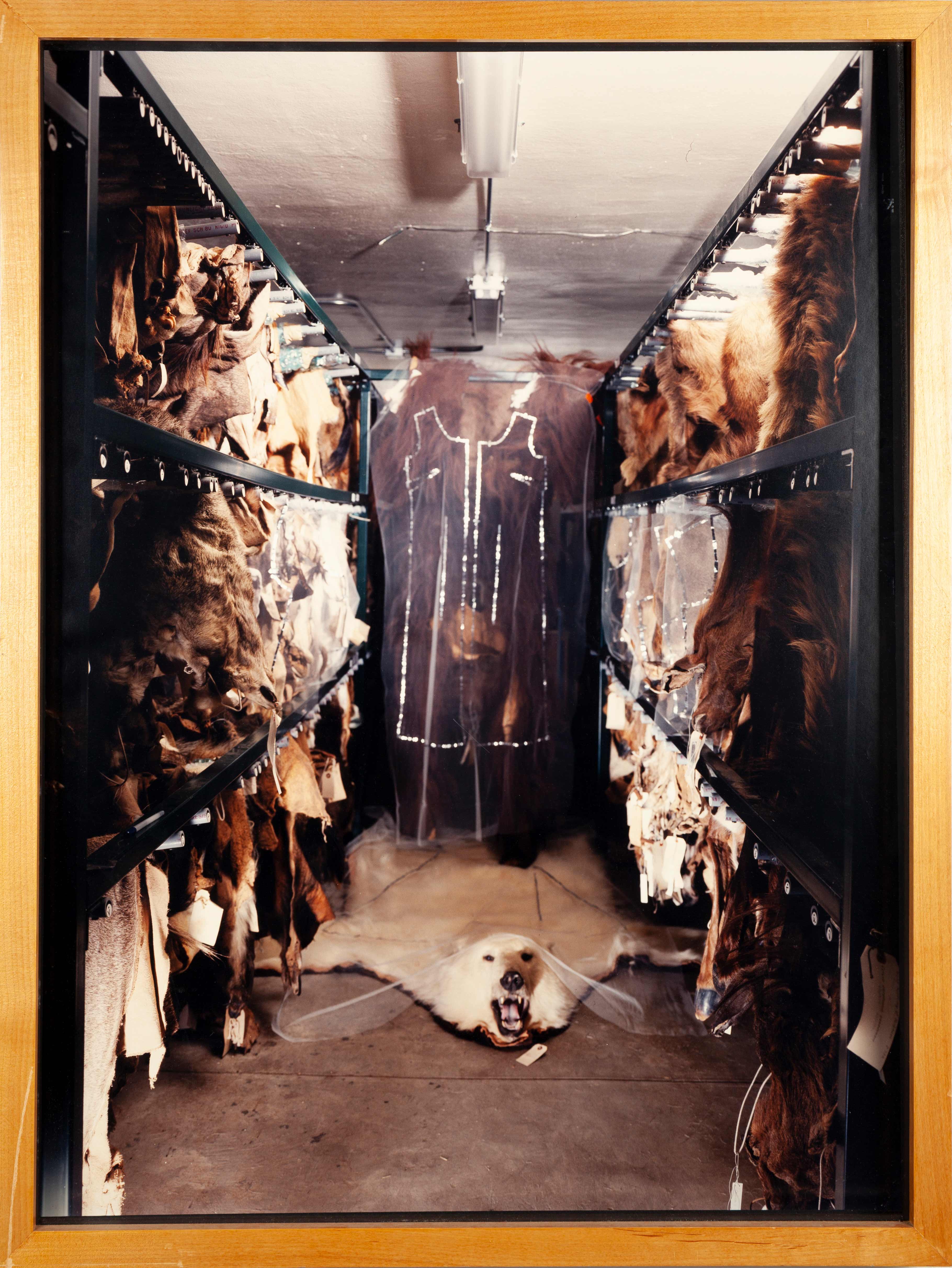 Photograph of a room with animal pelts.